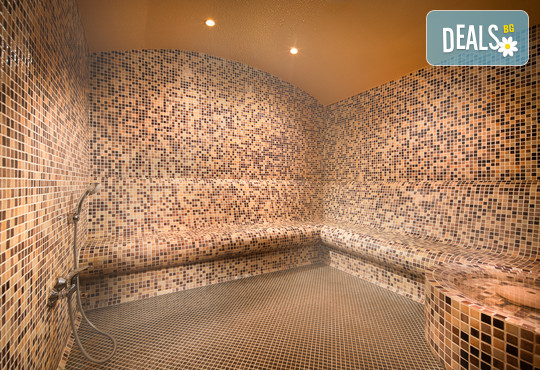 Алфарезорт Палас Чифлика 4* - снимка - 46