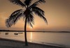Самолетна почивка в Шри Ланка! 7 нощувки на човек на база All inclusive в Amaya Beach Passikuda 0*, Colombo, Colombo с двупосочен чартърен полет от София - thumb 33