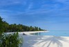 Самолетна почивка в Малдиви! 11 нощувки на човек на база All inclusive в Cocoon Maldives 0*, Малдиви, Малдиви с двупосочен чартърен полет от София - thumb 8