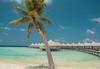 Drift Thelu Veliga Retreat Maldives - thumb 16