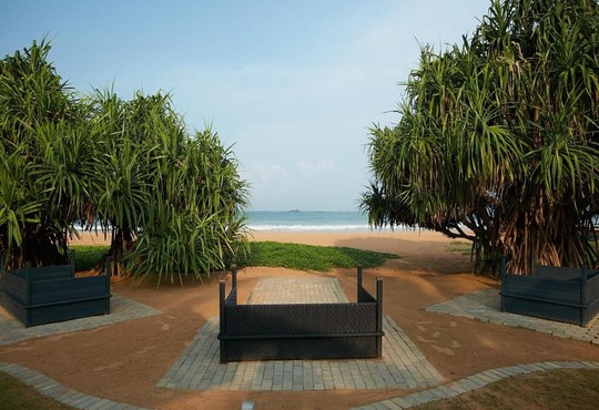 Ekho Surf - снимка - 7