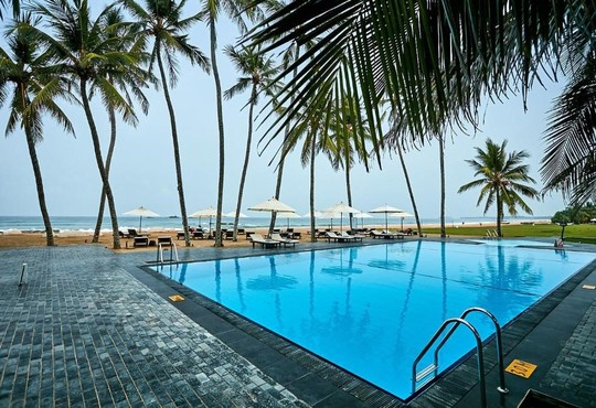 Ekho Surf - снимка - 14