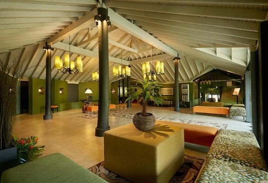 Ekho Surf - снимка - 21