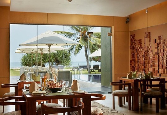 Ekho Surf - снимка - 31