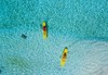 Самолетна почивка в Малдиви! 11 нощувки на човек на база All inclusive в Filitheyo Island Resort 0*, Малдиви, Малдиви с двупосочен чартърен полет от София - thumb 24