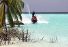 Самолетна почивка в Малдиви! 7 нощувки на човек на база All inclusive в Filitheyo Island Resort 0*, Малдиви, Малдиви с двупосочен чартърен полет от София - thumb 9