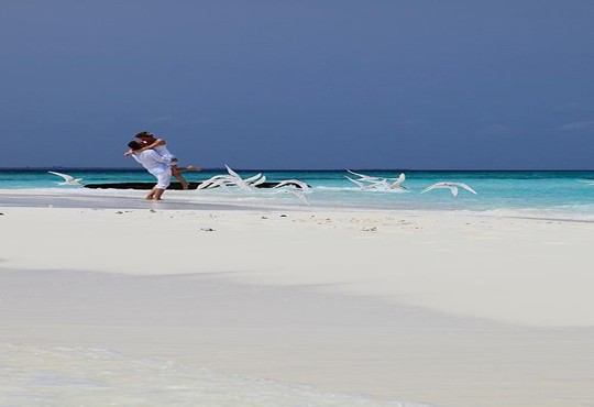 Makunudu Island - снимка - 18