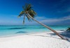 Самолетна почивка в Малдиви! 7 нощувки на човек на база All inclusive в Meeru Island Resort & Spa 0*, Малдиви, Малдиви с двупосочен чартърен полет от София - thumb 5