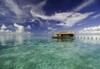 Самолетна почивка в Малдиви! 7 нощувки на човек на база All inclusive в Mirihi Island Resort 0*, Малдиви, Малдиви с двупосочен чартърен полет от София - thumb 10