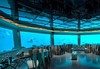 Самолетна почивка в Малдиви! 11 нощувки на човек на база All inclusive в Ozen By Atmosphere 0*, Малдиви, Малдиви с двупосочен чартърен полет от София - thumb 17