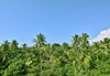 Самолетна почивка в Шри Ланка! 7 нощувки на човек на база All inclusive в Sheraton Kosgoda Turtle Beach Resort 0*, Colombo, Colombo с двупосочен чартърен полет от София - thumb 19