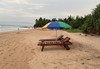 Самолетна почивка в Шри Ланка! 7 нощувки на човек на база All inclusive в Sheraton Kosgoda Turtle Beach Resort 0*, Colombo, Colombo с двупосочен чартърен полет от София - thumb 10