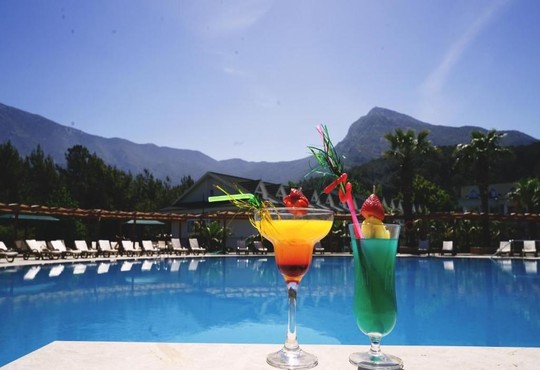 Green Forest Holiday Village - снимка - 28