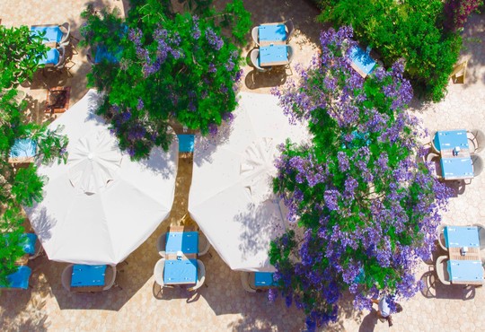 Yel Holiday Resort Hotel - снимка - 21