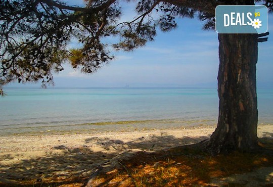 Amerika Hotel 1* - снимка - 16