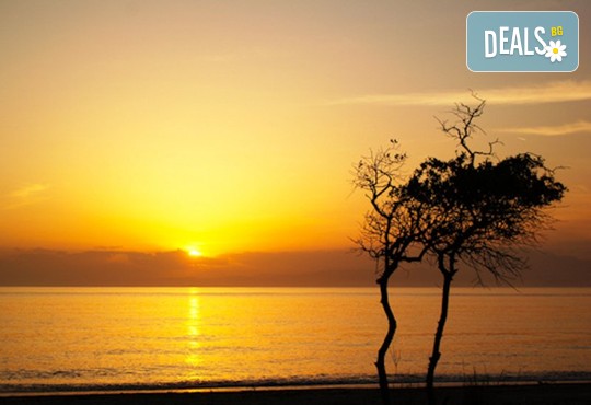 Amerika Hotel 1* - снимка - 18