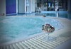 Лятна СПА почивка в планината - хотел Родопски дом 4*, Чепеларе! Нощувка със закуска, вътрешен отопляем басейн, джакузи, сауна, фитнес, безплатно за дете до 5.99 г.; - thumb 4
