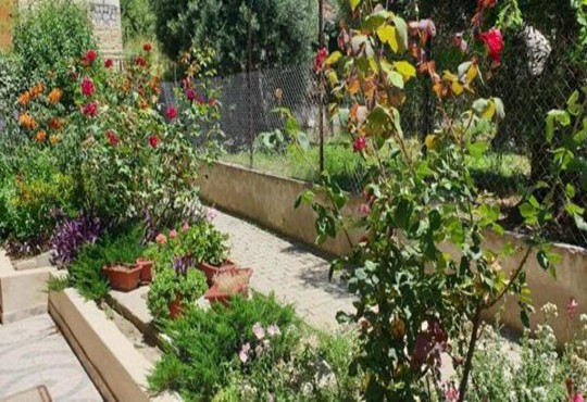 Sunday Mood 2* - снимка - 6