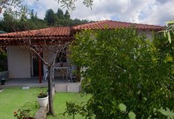 Paradise House - Снимка