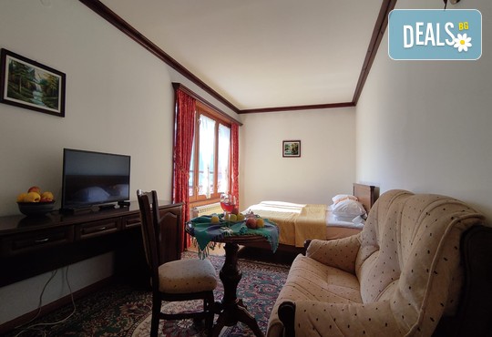 МАУНТИН ВЮ ЕКОВИЛА 3* - снимка - 22