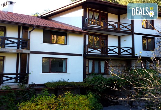 МАУНТИН ВЮ ЕКОВИЛА 3* - снимка - 6