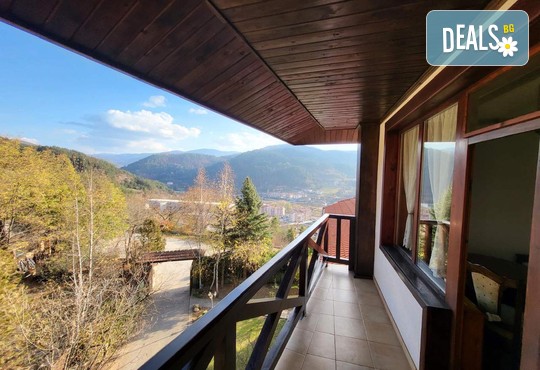 МАУНТИН ВЮ ЕКОВИЛА 3* - снимка - 12