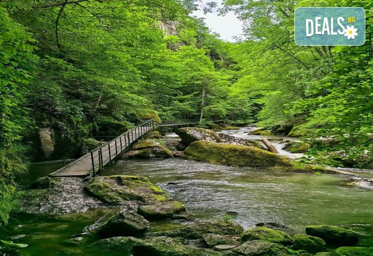 МАУНТИН ВЮ ЕКОВИЛА 3* - снимка - 33