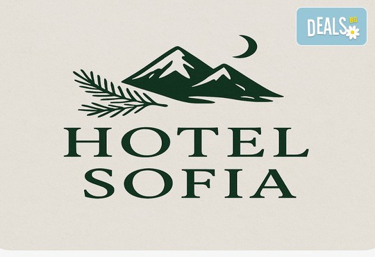 Хотел София 3* - снимка - 31