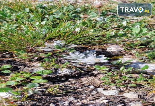 Евелина Палас 4* - снимка - 67