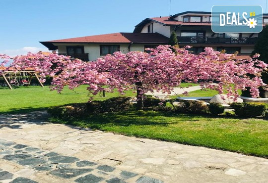 Евелина Палас 4* - снимка - 49