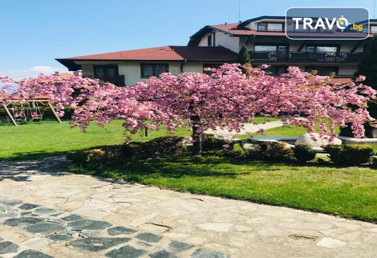 Евелина Палас 4* - снимка - 49