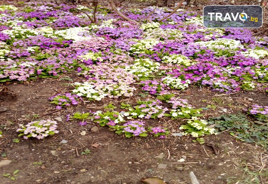 Бунгала Божур - Китен 1* - снимка - 19