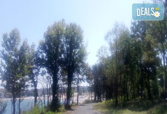 Бунгала Божур - Китен 1* - снимка - 21