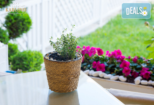 Хотел Карлово 3* - снимка - 21