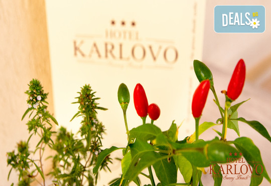 Хотел Карлово 3* - снимка - 20