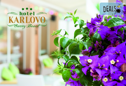 Хотел Карлово 3* - снимка - 22