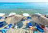 Dolphin Beach Hotel - thumb 15