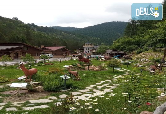  Замъка Хорлог 3* - снимка - 7