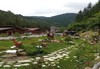 Планинска почивка и свеж полъх на гора в Замъка Хорлог 3*, Триград! Нощувка със закуска, възможност за обяд, вечеря с приказна гледка, ползване на барбекю и безплатно за дете до 6.99 г.  - thumb 7