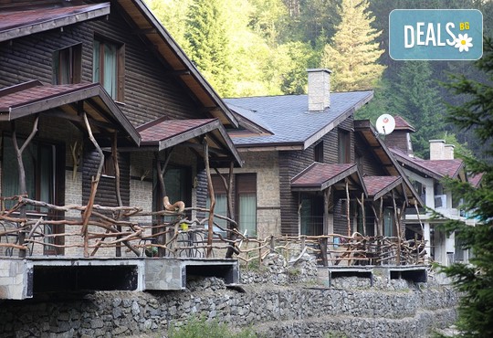  Замъка Хорлог 3* - снимка - 6