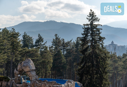 СПА хотел Двореца 5* - снимка - 52