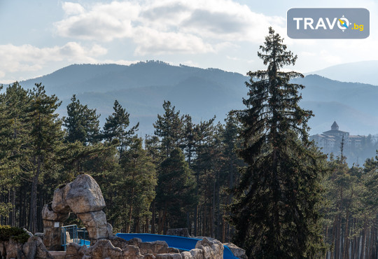 СПА хотел Двореца 5* - снимка - 52