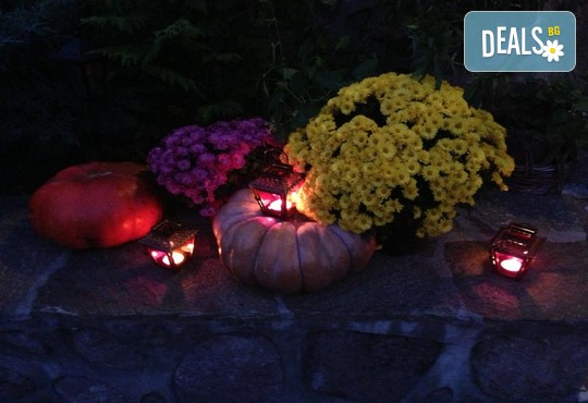 Комплекс-механа Попсоколовата къща - снимка - 42