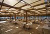 Seher Sun Palace Resort & Spa - thumb 10