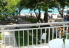 Avra Beach Hotel - Lefkada - thumb 8