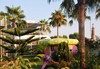 Drita Hotel Resort & Spa - thumb 12
