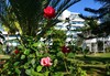 Drita Hotel Resort & Spa - thumb 18