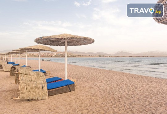 Barcelo Tiran Sharm 5* - снимка - 21