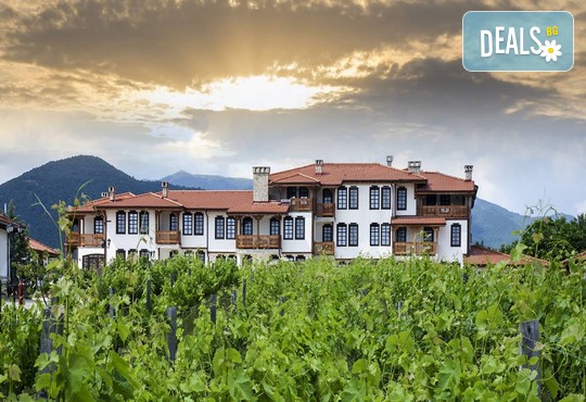 Тракийска резиденция Старосел 4* - снимка - 2