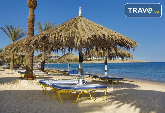 Sharm Dreams Resort 5* - снимка - 25